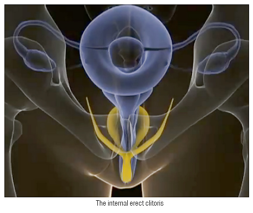 セックスのコツ
 #40385902