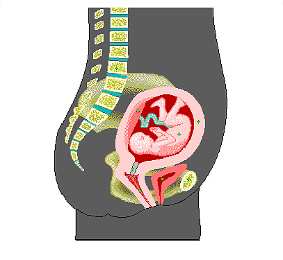 セックスのコツ
 #40386501