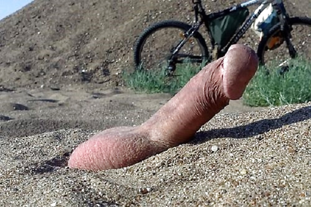 Serpiente de arena
 #25718954