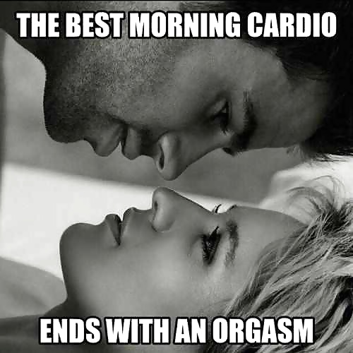 Zucker Mieze - Wir Mögen Heute Morgen Training Idee #32681679