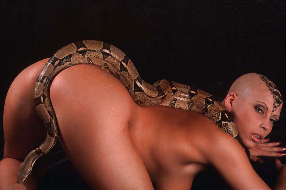 Exotische Babe Wa Python Auf Ihren Heißen Körper #36474169