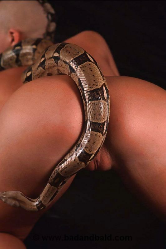 Exotische Babe Wa Python Auf Ihren Heißen Körper #36474177