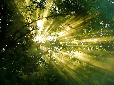 Mundo místico
 #34349674