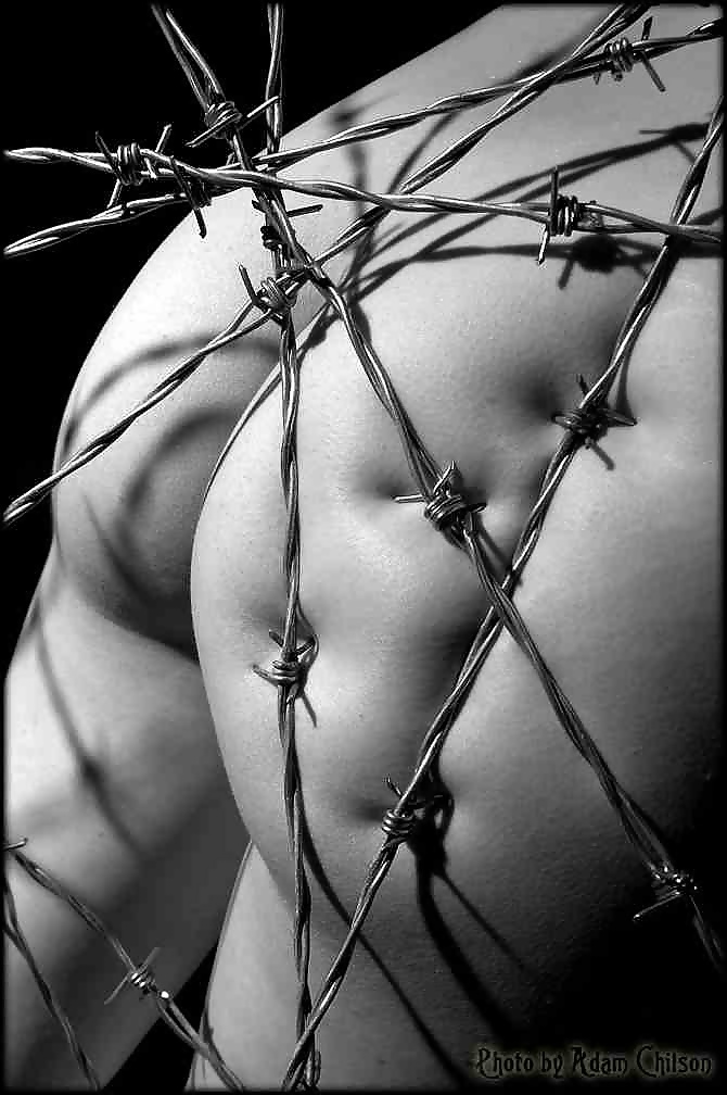 Barbed Wire #40975122