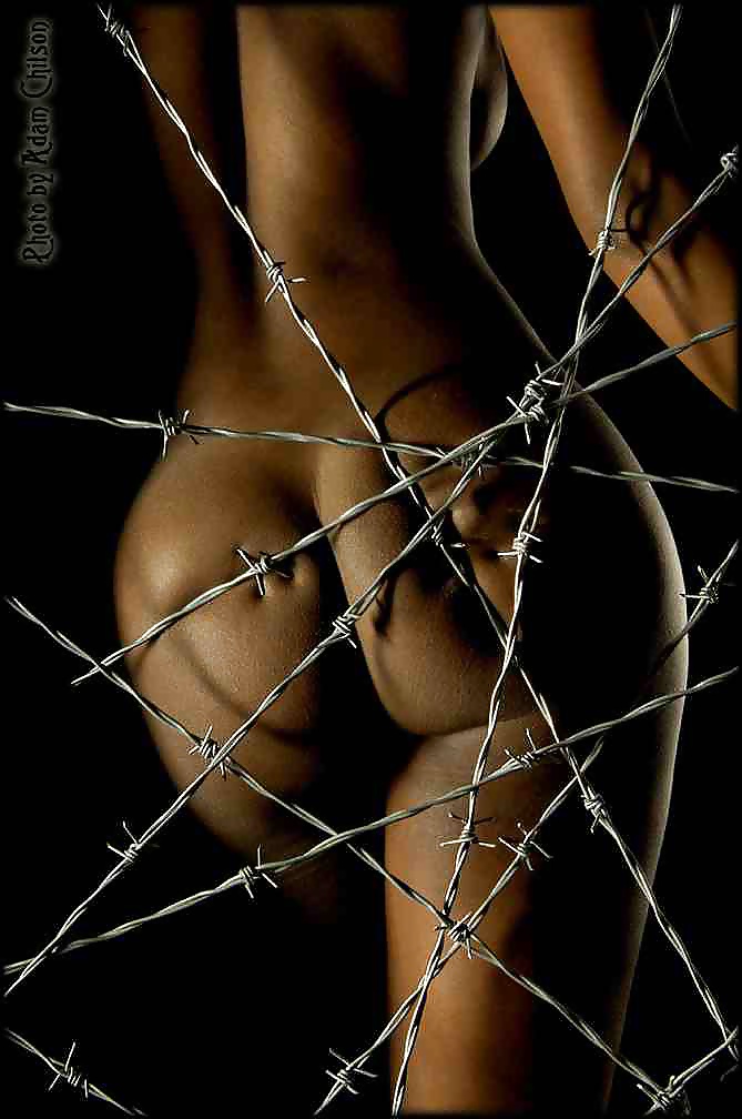 Barbed Wire #40975136