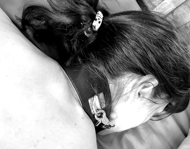 Cautivo 15
 #24139658