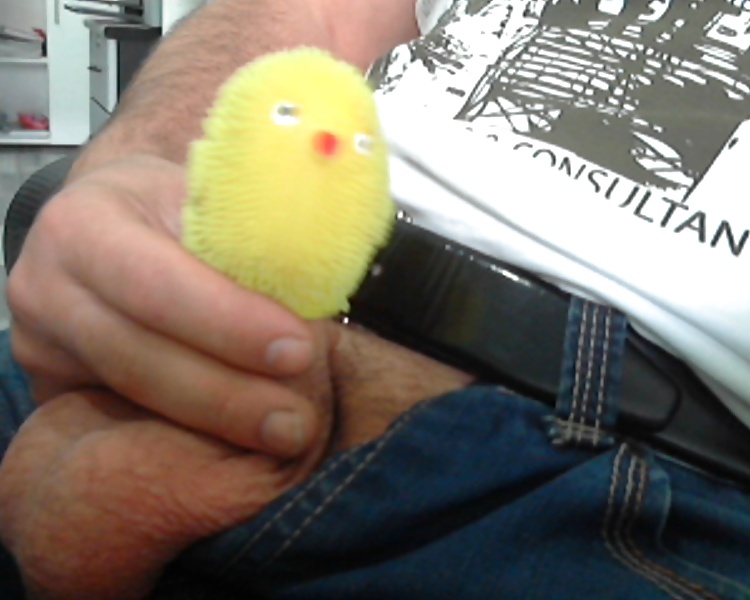 MY LITTLE BIRD :) #37083432