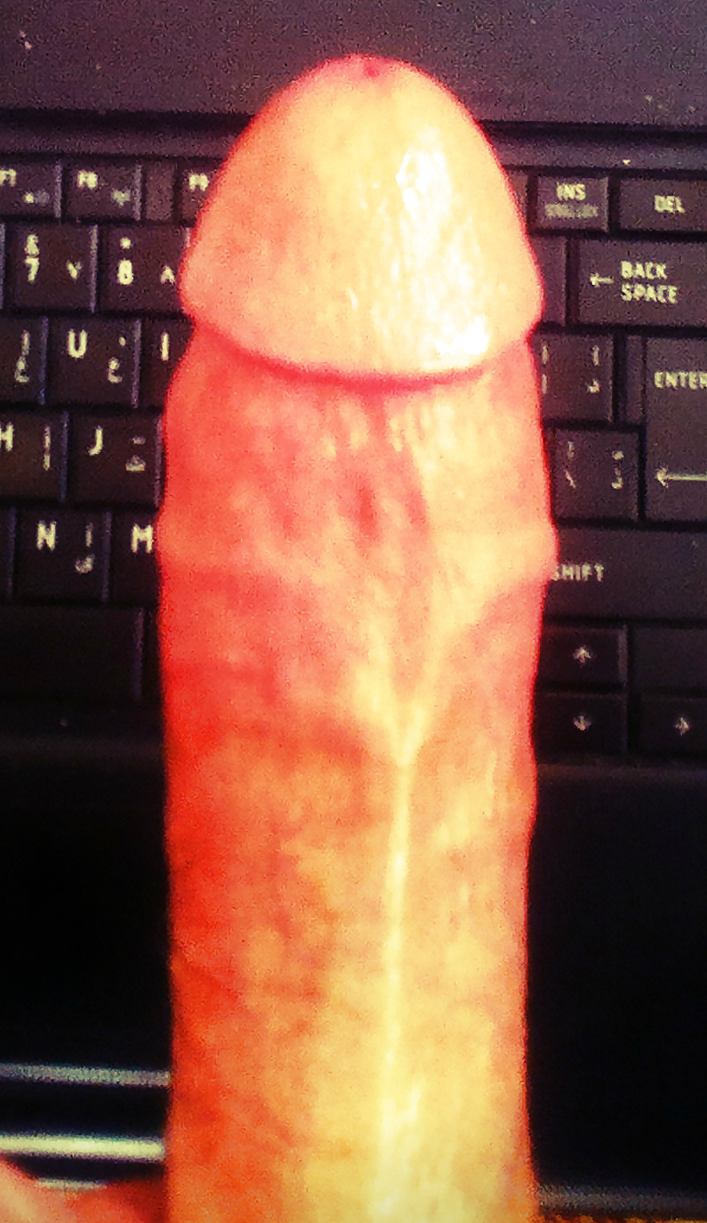 俺のチンコ
 #24059071