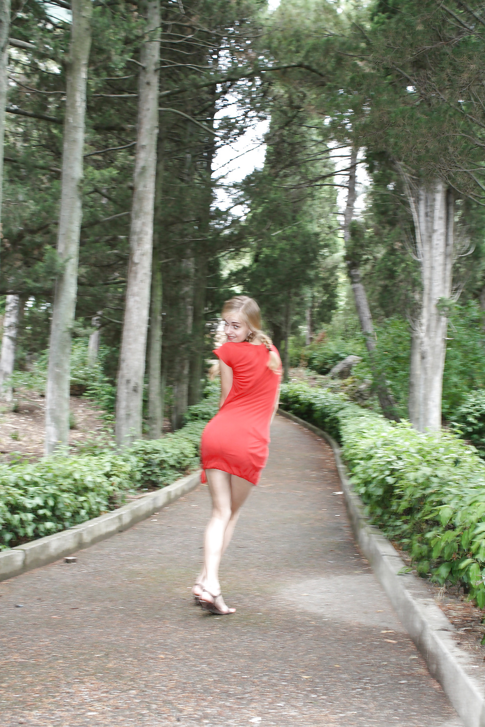 Rubia delicada
 #39558714