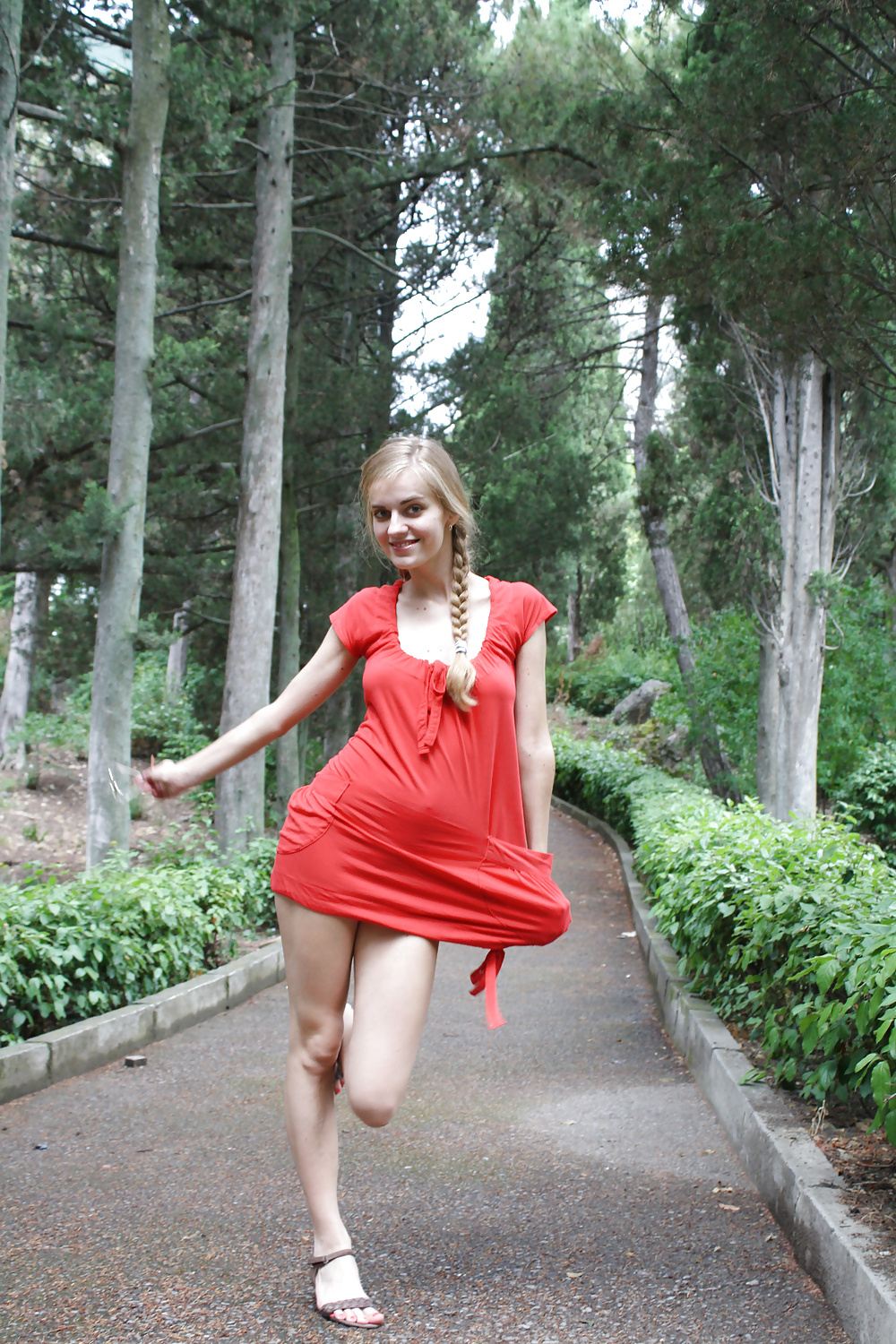 Rubia delicada
 #39558732