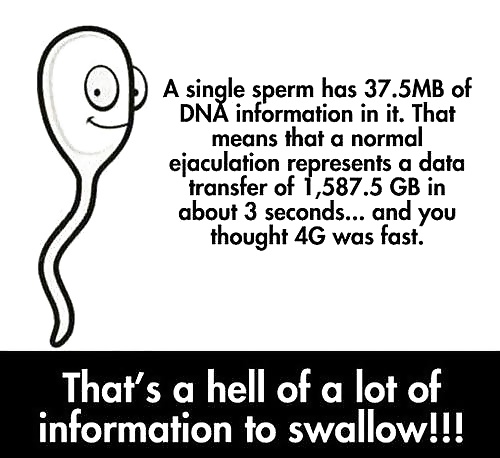 Lote de información
 #35168264