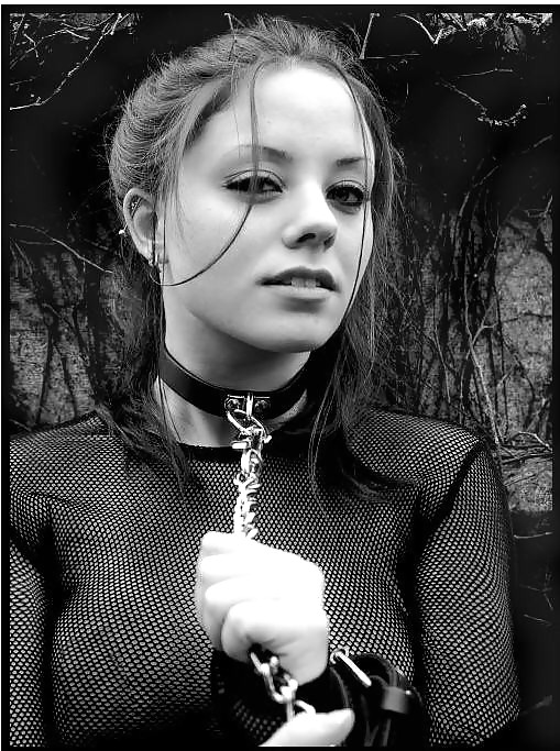 On a leash #37073562