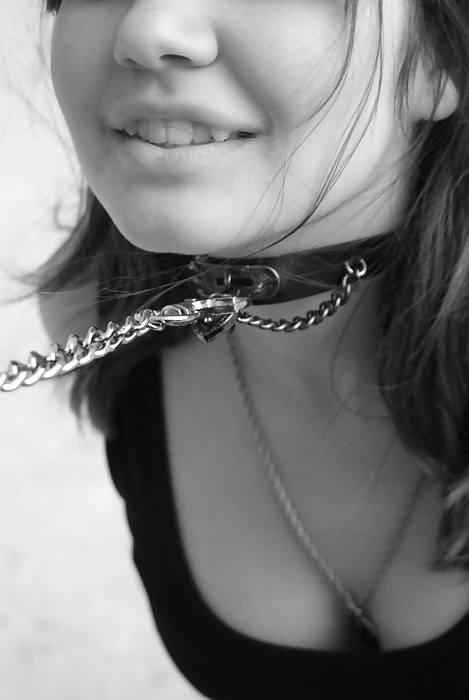 On a leash #37073587
