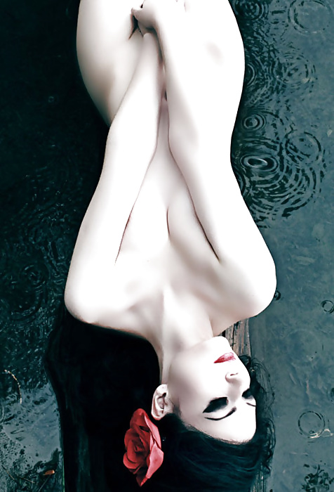 Janas art de la joie 161
 #30014762