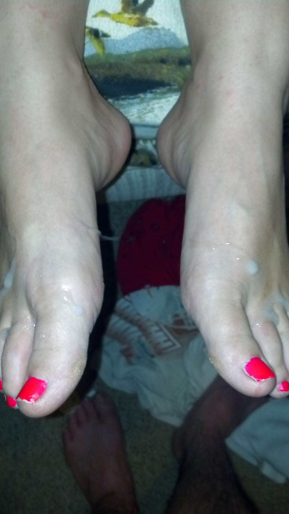 I piedi della moglie coperti di sperma
 #23340853