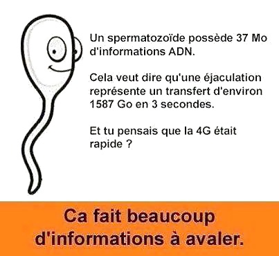 Rigolo - 3 - FishScorpio #34392117