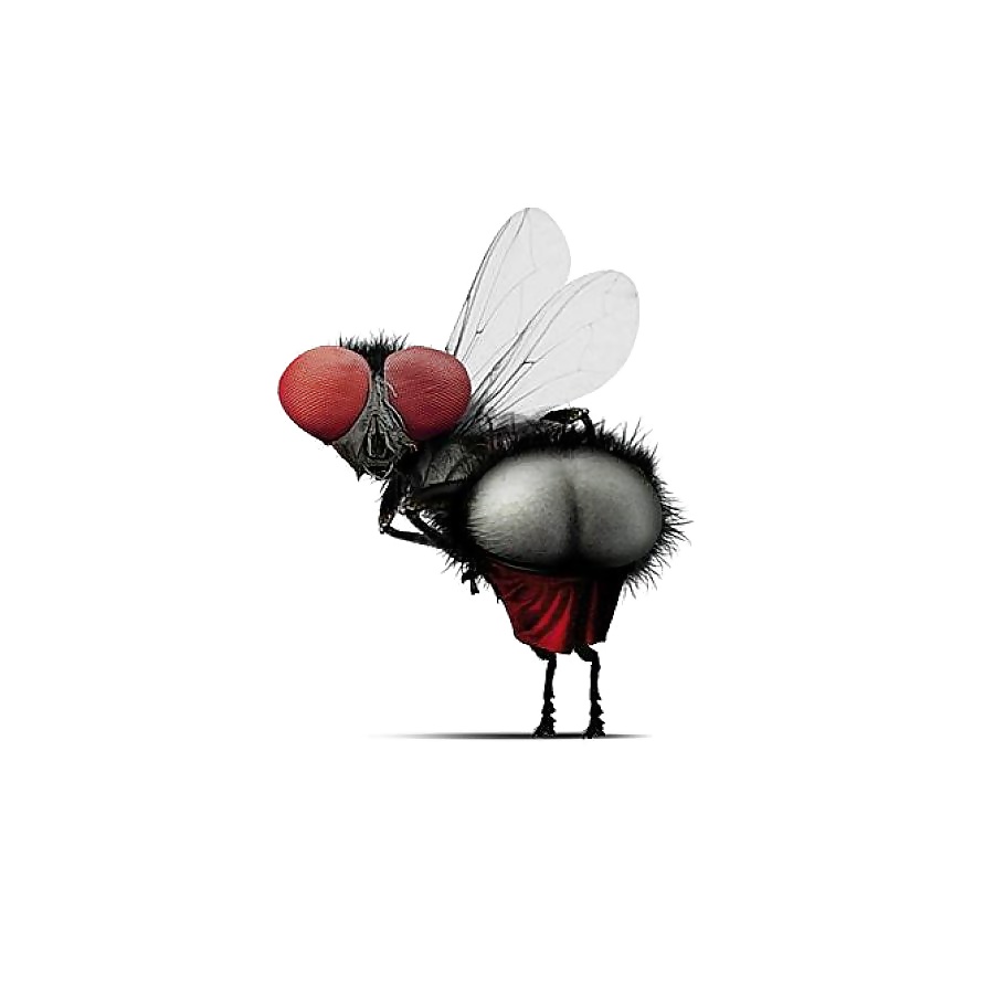 Rigolo - 3 - FishScorpio #34392156