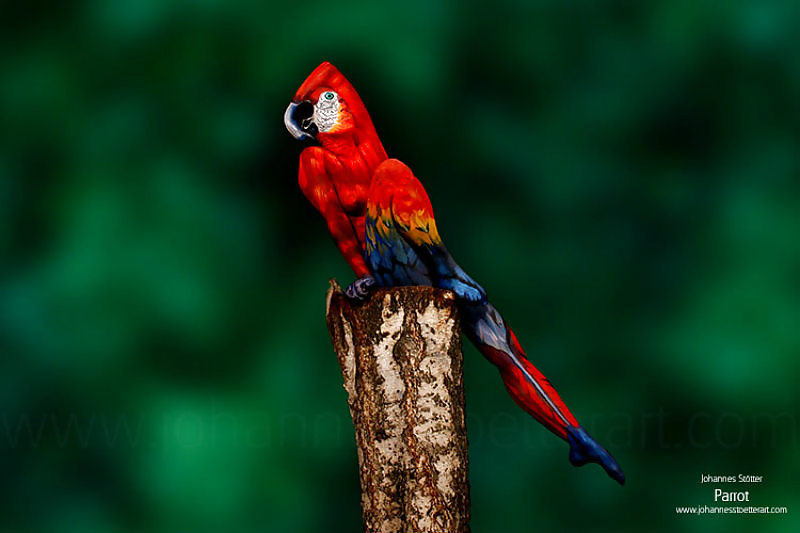 Rigolo - 3 - FishScorpio #34392198