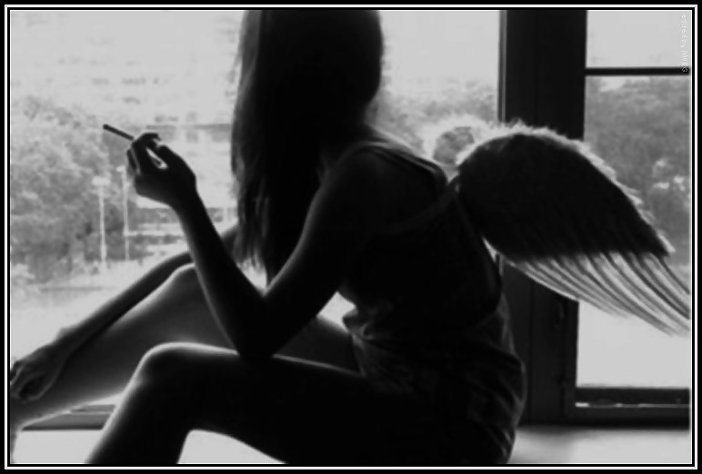 Sinful Snapshots 03 #26312030