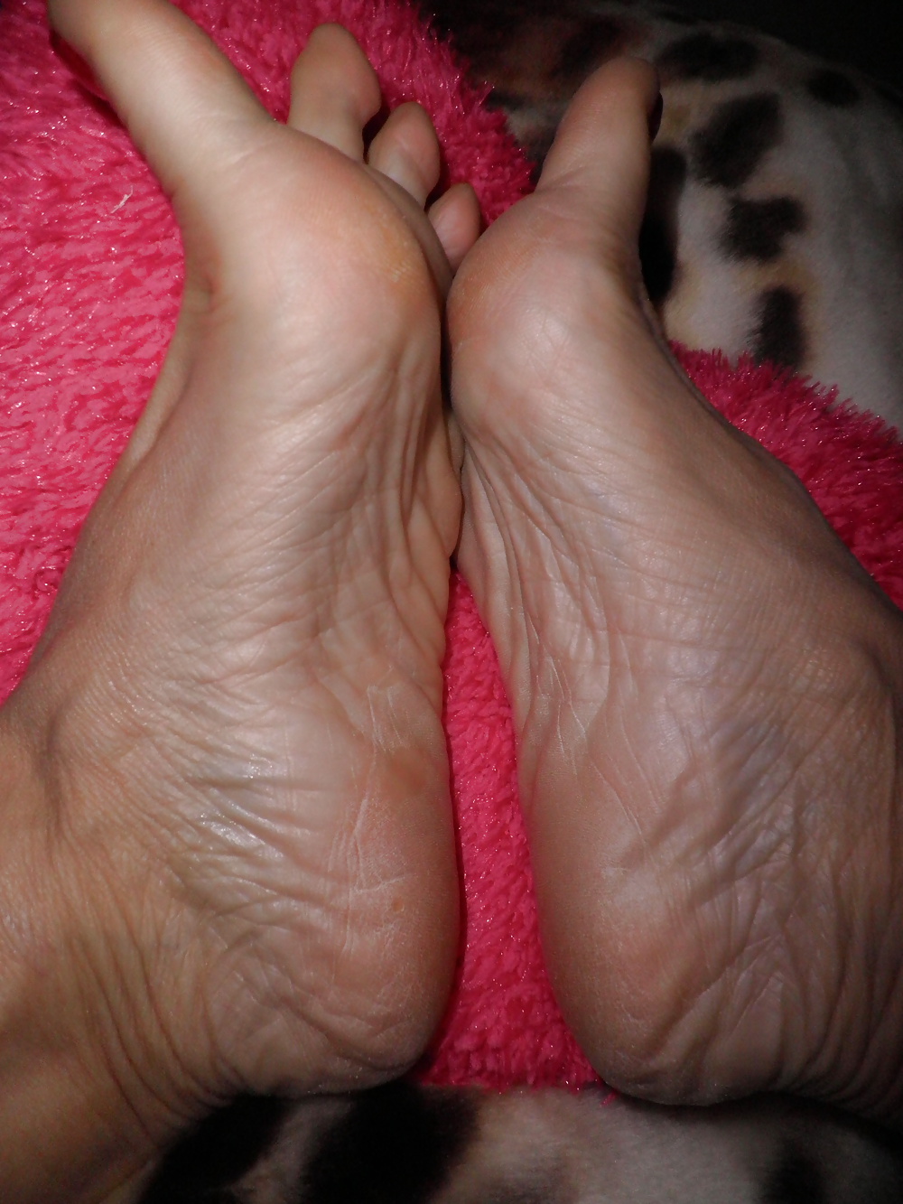 Nia Sexy Füße #40530054