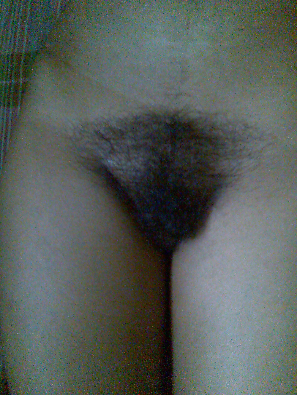 熱い
 #31884590