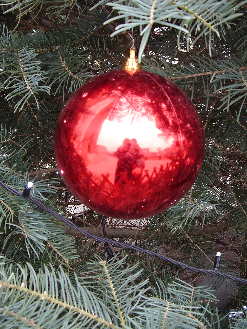 Unnepek alatt
 #40816222