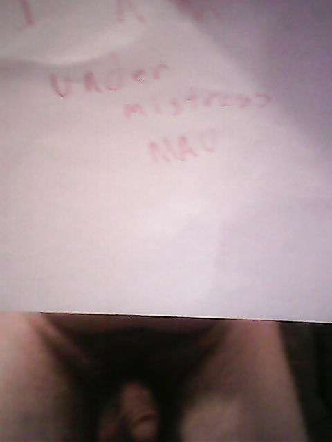 MY SLAVES! WHO'S SINCERE AND DEVOTED! #28834832