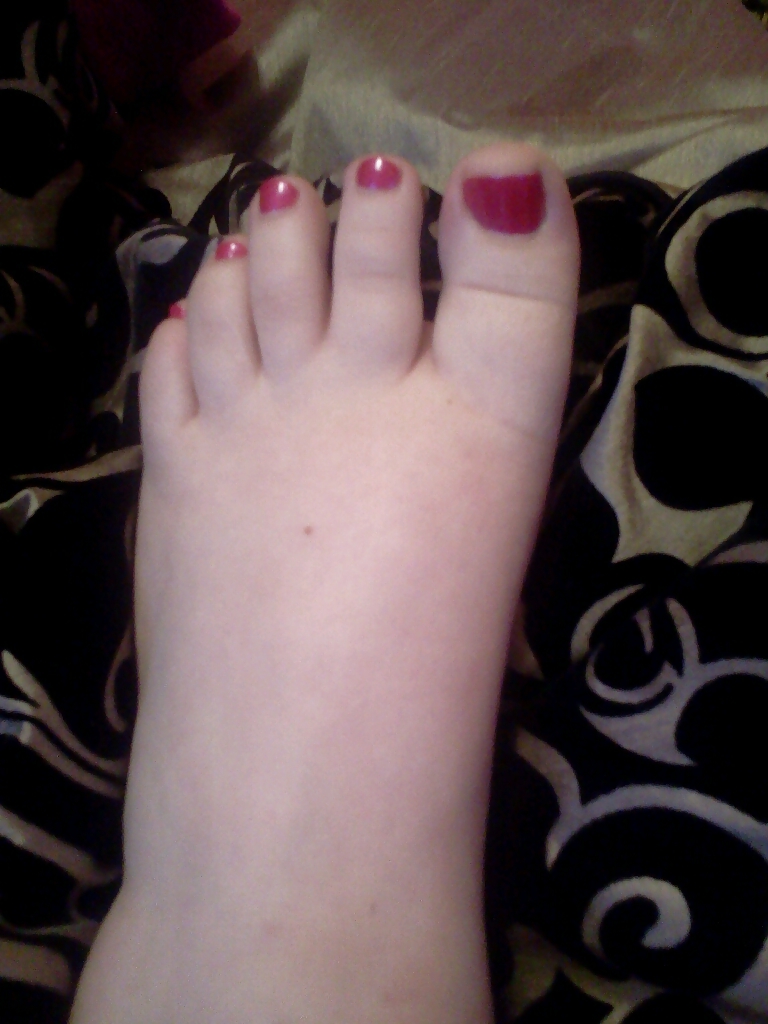 Mis cerditos
 #23647564