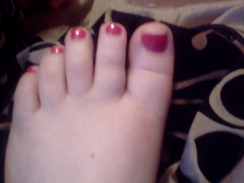 Mis cerditos
 #23647580