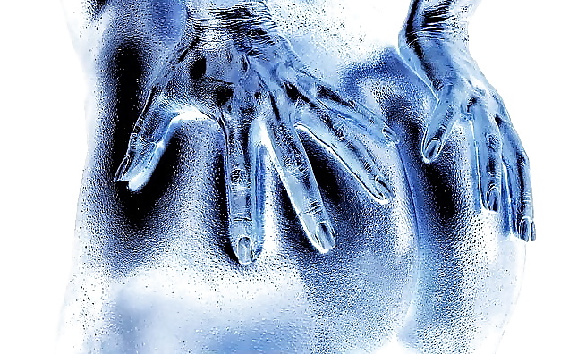 081 #29114345