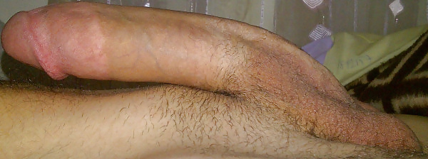 俺のチンコ
 #34516769