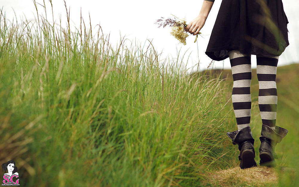 Suicide girl-dwam
 #24505560