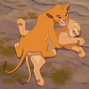 Lion King #30298998