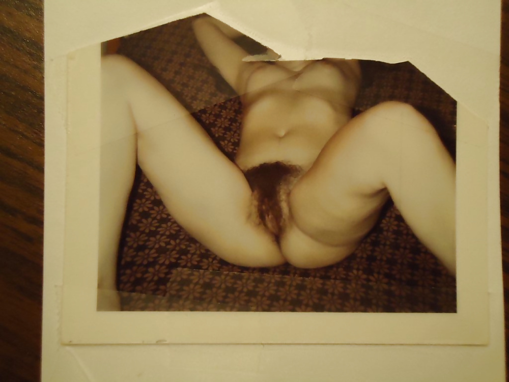 Elizabethsub ... Meine Pelzigen Busch #34986354