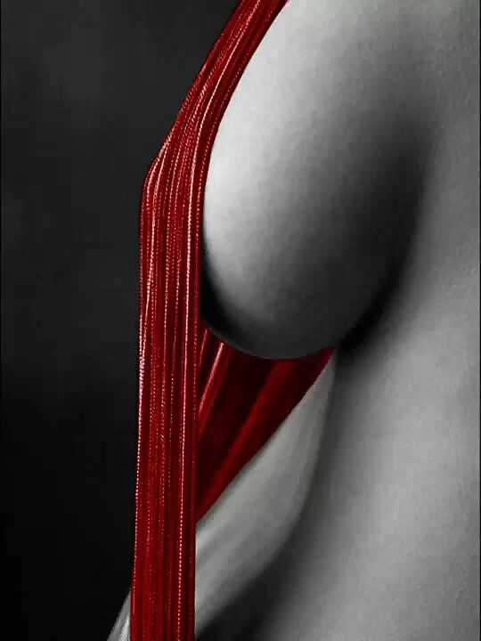 Janas art de la joie 170
 #30043613