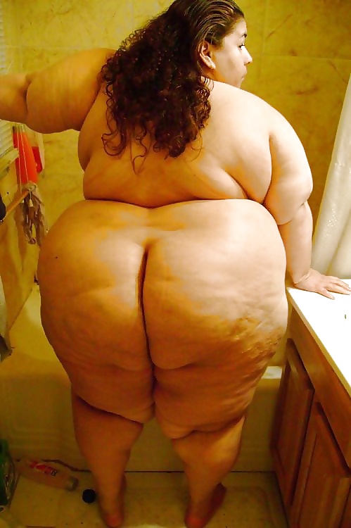Bbw Ass #32033096