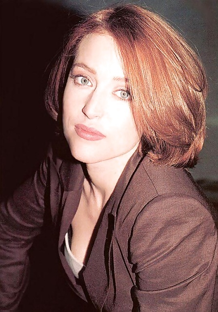 Gillian Anderson 5 #40340934