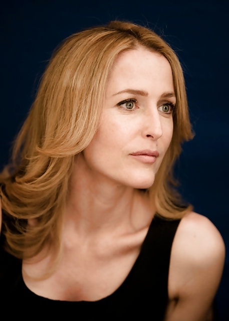 Gillian Anderson 5 #40340972