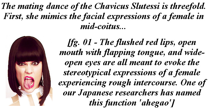 Captioned Mating Habits of Jessie J ('Chavicus Slutessi') #26992104