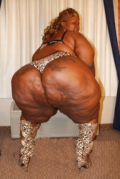 Sexy ssbbw
 #34785702