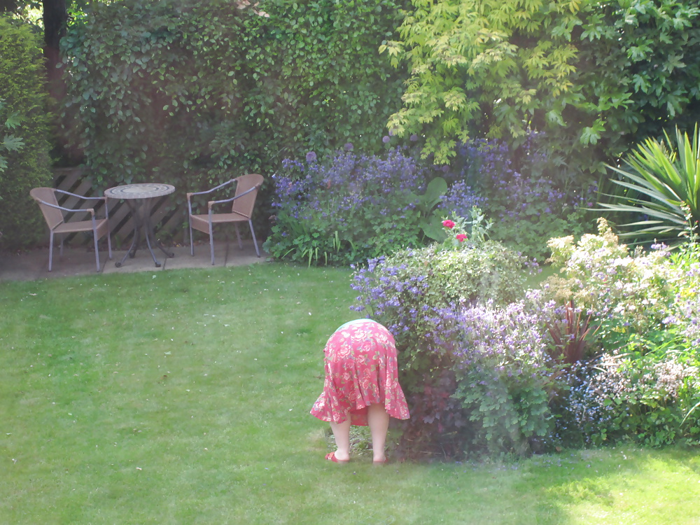 Mrs P dressed in the garden #34260556