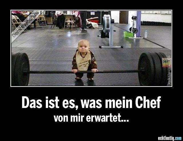 Scarface: Sie Jemals Versucht, Den Kopf In Den Arsch Zu Stecken? #24064506