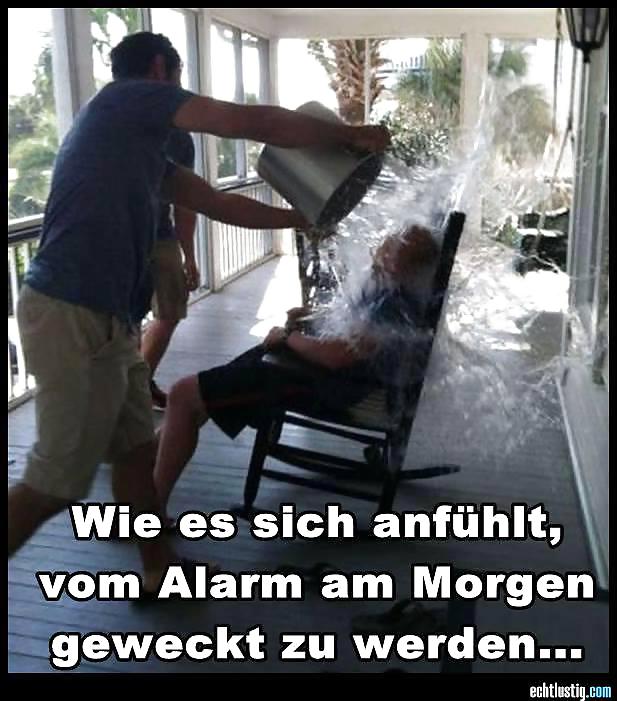 Scarface: Sie Jemals Versucht, Den Kopf In Den Arsch Zu Stecken? #24064548