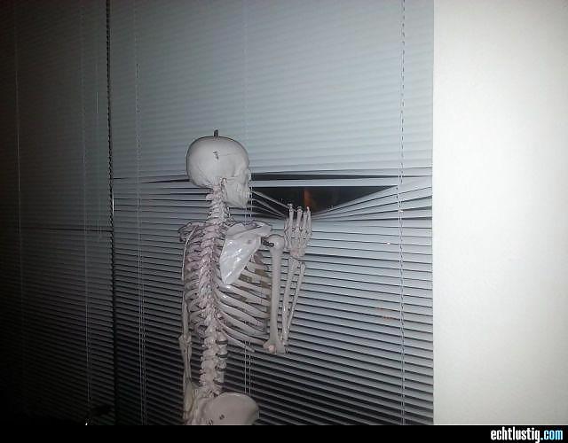 Scarface: Sie Jemals Versucht, Den Kopf In Den Arsch Zu Stecken? #24064552