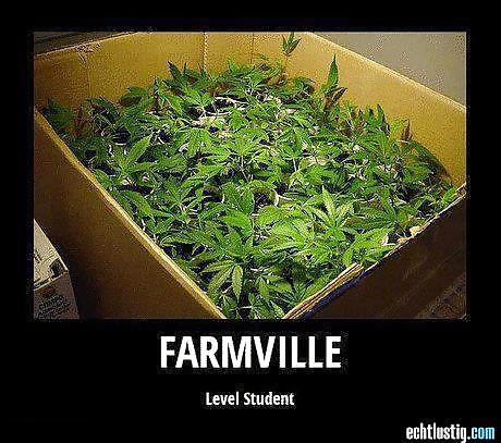 Scarface: Sie Jemals Versucht, Den Kopf In Den Arsch Zu Stecken? #24064666