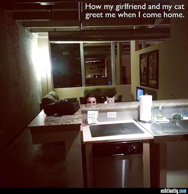 Scarface: Sie Jemals Versucht, Den Kopf In Den Arsch Zu Stecken? #24064717