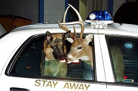 Scarface: Sie Jemals Versucht, Den Kopf In Den Arsch Zu Stecken? #24064871