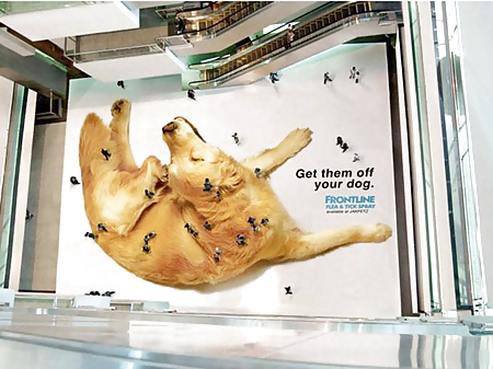 Scarface: Sie Jemals Versucht, Den Kopf In Den Arsch Zu Stecken? #24064923