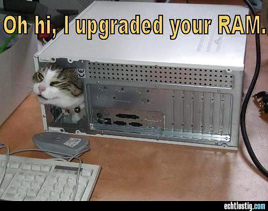 Scarface: Sie Jemals Versucht, Den Kopf In Den Arsch Zu Stecken? #24064951