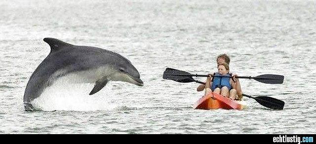 Scarface: Sie Jemals Versucht, Den Kopf In Den Arsch Zu Stecken? #24064961